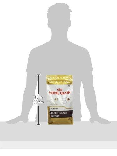 Royal Canin Jack Russell Terrier Junior 1,5kg