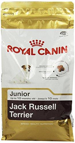 Royal Canin Jack Russell Terrier Junior 1,5kg