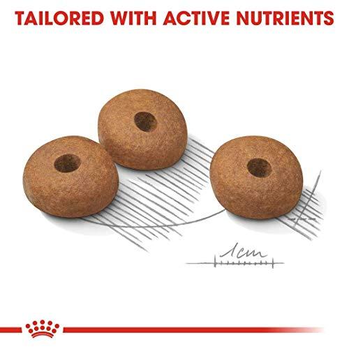 Royal Canin Mini Light Weight Care 8kg
