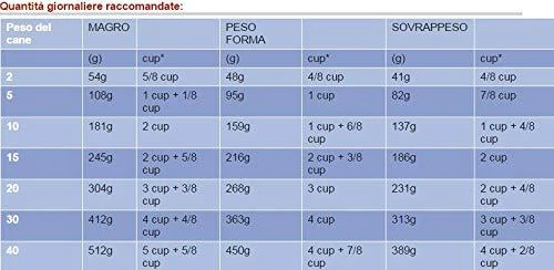Spaustuvai PROXXON PM 40
