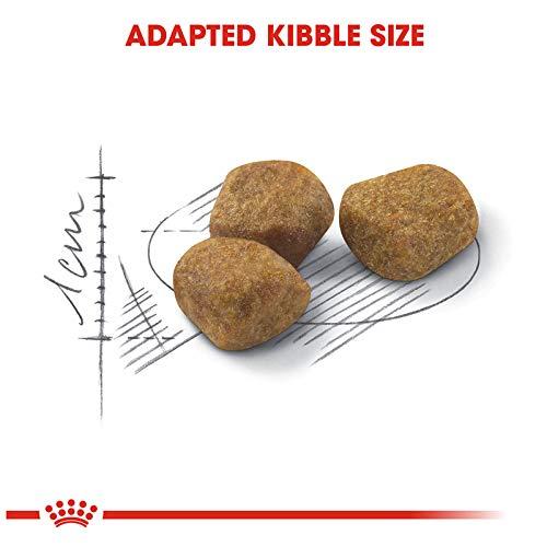 Royal Canin Fit 4kg