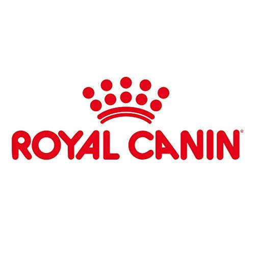 Royal Canin Fit 4kg