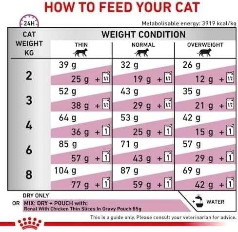 ROYAL CANIN Renal Special Sausas kačių maistas Kiauliena 400g
