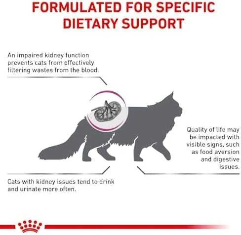 ROYAL CANIN Renal Special Sausas kačių maistas Kiauliena 400g
