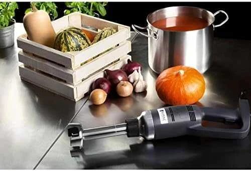 Galingas maišytuvas maišytuvas rankinis roboto rankos ilgis 250mm 350W 230V Royal Catering