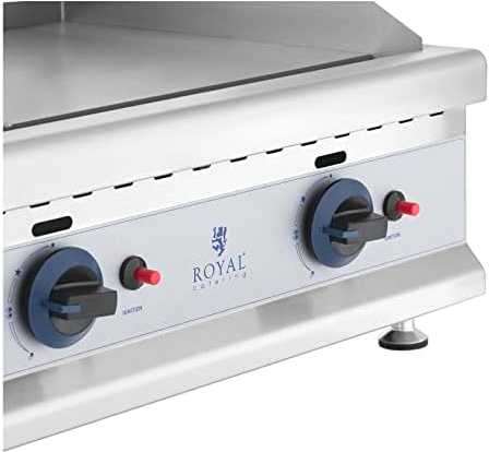 Royal Catering Dvigubas lygus reguliuojamas nerūdijančio plieno dujinis grilis gamtinėms dujoms 2x 3,1 kW 0,02 baro 60 x 40 cm