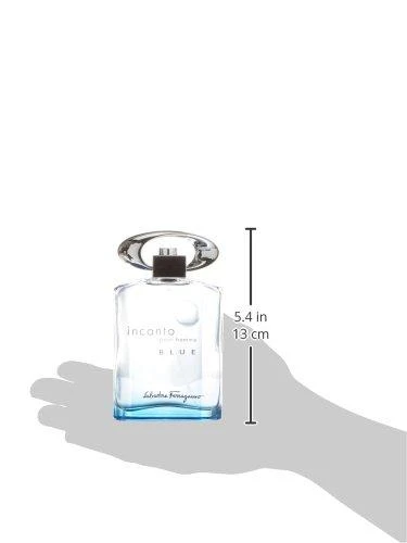 Salvatore Ferragamo Incanto Mėlyna EDT tualetinis vanduo vyrams, 100 ml
