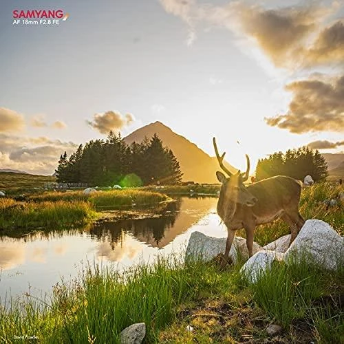 Objektyvas Samyang AF 18mm f/2.8 Sony FE