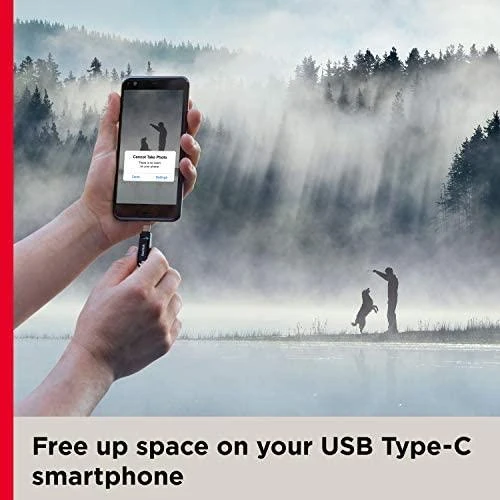 USB laikmena Sandisk Ultra Dual Drive Go 256GB