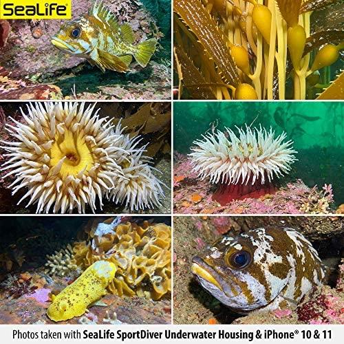 Sealife SportDiver Pro 2500 rinkinys (SL401-U) (35.335.401)