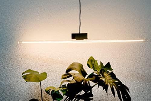 Segula SEGULA LED Linienlampe S14d 500mm skaidrus S14d 6,2W 2700K dimm