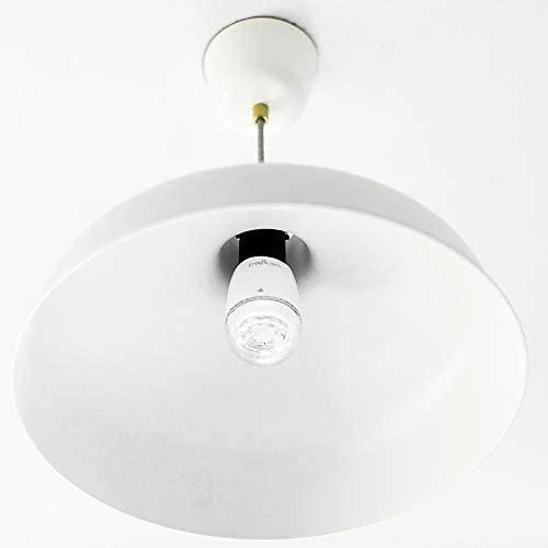 Sengled Boost GU10