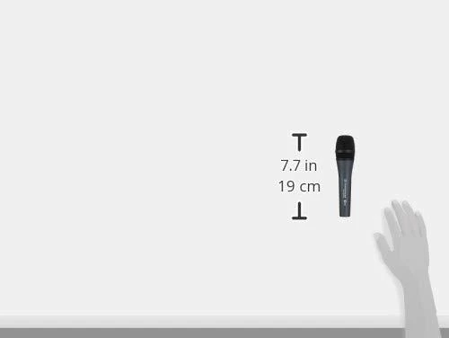 SENNHEISER E 845, DYNAAMINEN MIKROFONI SUPERCARDIO