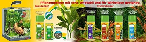 sera CO2-Start trąšų sistema