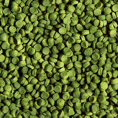 Ciklidų maistas SERA Granugreen Nature 1000 ml