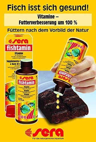 sera žuvų vitaminų mišinys 100 ml