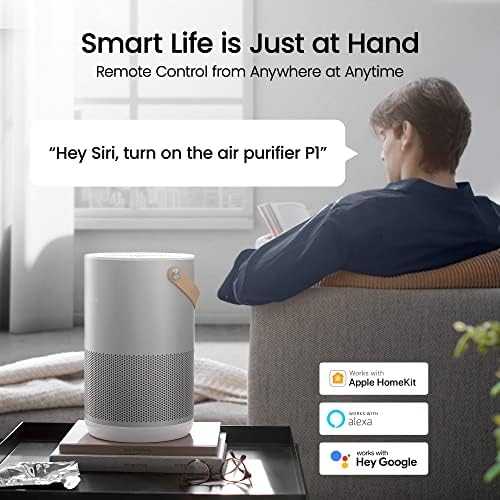 Drėkintuvas Xiaomi Smartmi oro valytuvas P1 (sidabras)