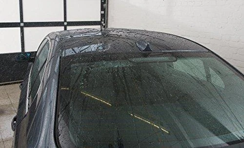 SONAX Šampūnas koncentruotas automobiliui, 1L 314300