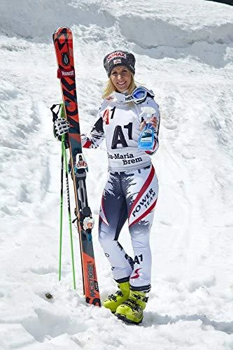 SONAX Ledo tirpiklis automobilio langams, 500ml 331241