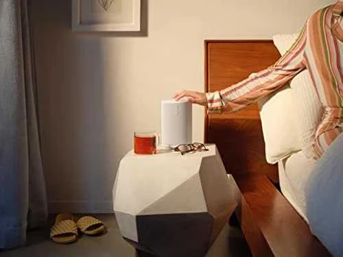 Garso kolonėlė Sonos Era 100, Baltos spalvos