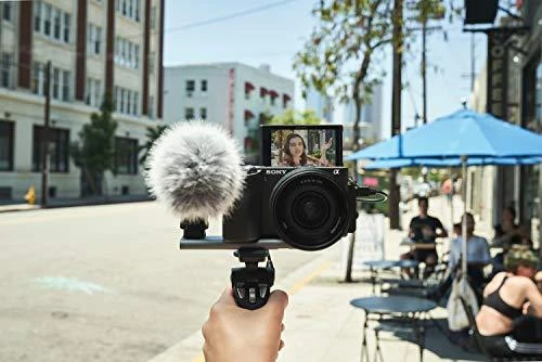 Sony A6600