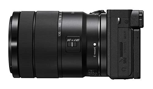 Sony A6600