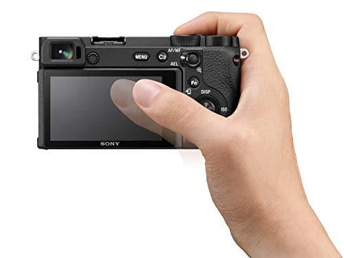 Sony A6600