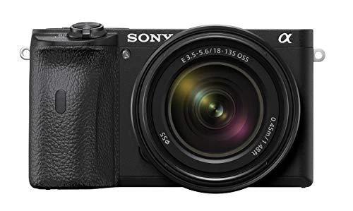 Sony A6600