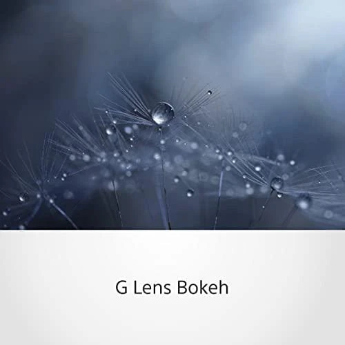 SONY SEL-90M28G Makro objektyvas