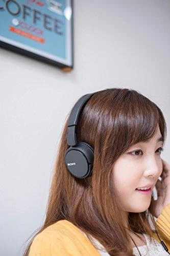 Sulankstomos ausinės Sony MDR-ZX110AP su mikrofonu, Juodos