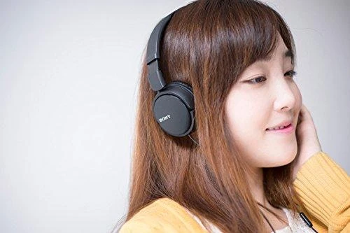 Sulankstomos ausinės Sony MDR-ZX110AP su mikrofonu, Juodos