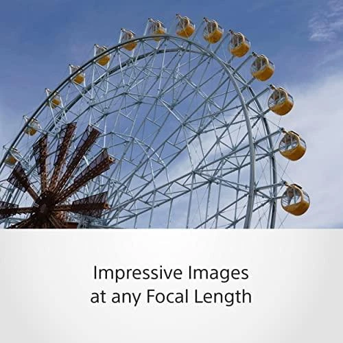 SONY SEL-24105G Objektyvas