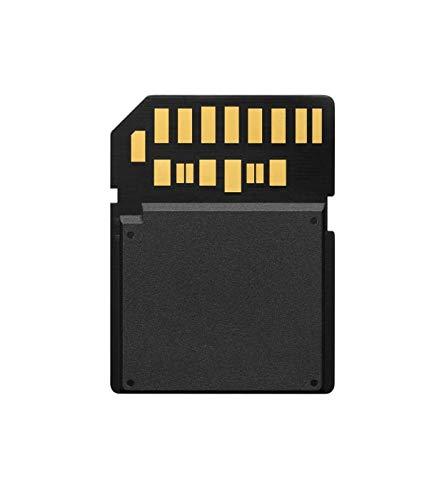 Atminties kortelė Sony | SF64TG | 64 GB | Micro SDXC | Flash atminties klasė 10