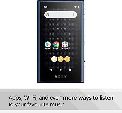 SONY WALKMAN　NW-A306 NW-A306 „360 Reality Audio“ | Nešiojamasis garso leistuvas