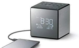 Sony XDR-C1DBP