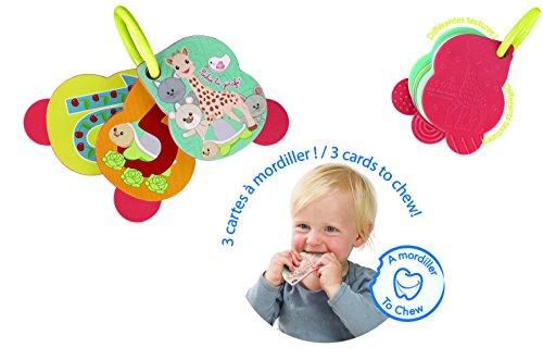 VULLI Sophie la girafe knygutė 3m+ Numero'golo 230794