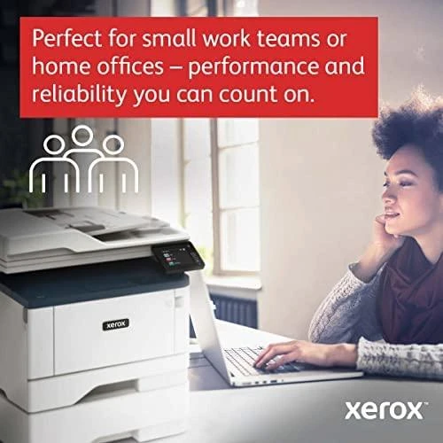Spausdintuvas Xerox B315DNI, Baltos /Pilkos spalvos
