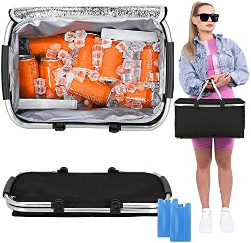 Springos Šaltkrepšis PICNIC THERMO BAG 47x28x40cm