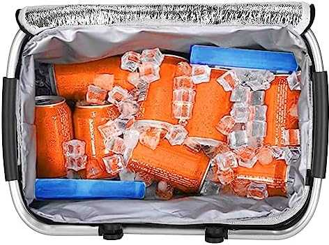Springos Šaltkrepšis PICNIC THERMO BAG 47x28x40cm
