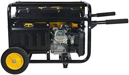 STANLEY vienfazis benzininis generatorius SG 3100 Basic, 2,9kW, 2x230V