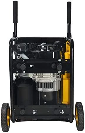 STANLEY vienfazis benzininis generatorius SG 3100 Basic, 2,9kW, 2x230V