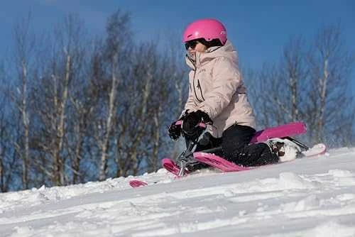 Rogutės Stiga SNOWRACER® Curve Gray Rožinė