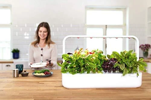 Click and Grow 3 vnt. papildymas - čili pipirų sėklos