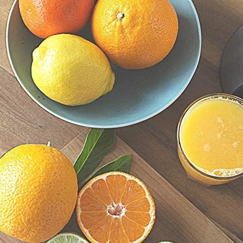 Gastroback 41150 Citrusinių vaisių sulčiaspaudė Advanced Pro S