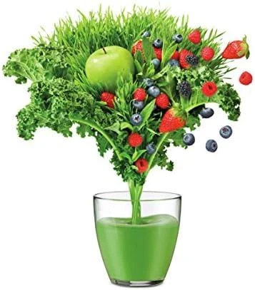 Sulčiaspaudė SAGE SJE430SIL The Nutri Juicer Cold
