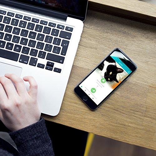 SureFlap Microchip Pet Door Connect - Mikročipu atidaromos durelės, baltos spalvos (70955)