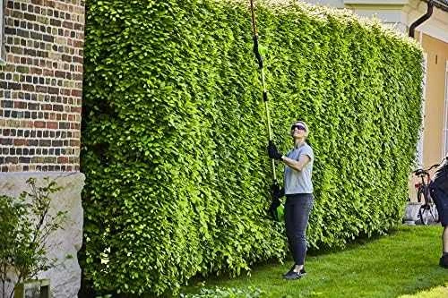 Greenworks gyvatvorių žirklės GD60PHT51, 60V, be akumuliatoriaus ir kroviklio
