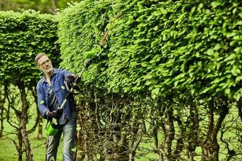 Greenworks gyvatvorių žirklės GD60PHT51, 60V, be akumuliatoriaus ir kroviklio