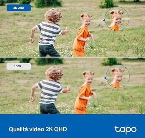 TP-LINK | Pan/Tilt Security Wi-Fi kamera | Tapo C520WS | Kupolas | 4 MP | 3,18 mm/F1,6 | IP66 | H.264 | „MicroSD“, iki 512 GB