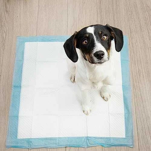 Higieninis įklotas 60x60cm 50 vnt Purlov 21600